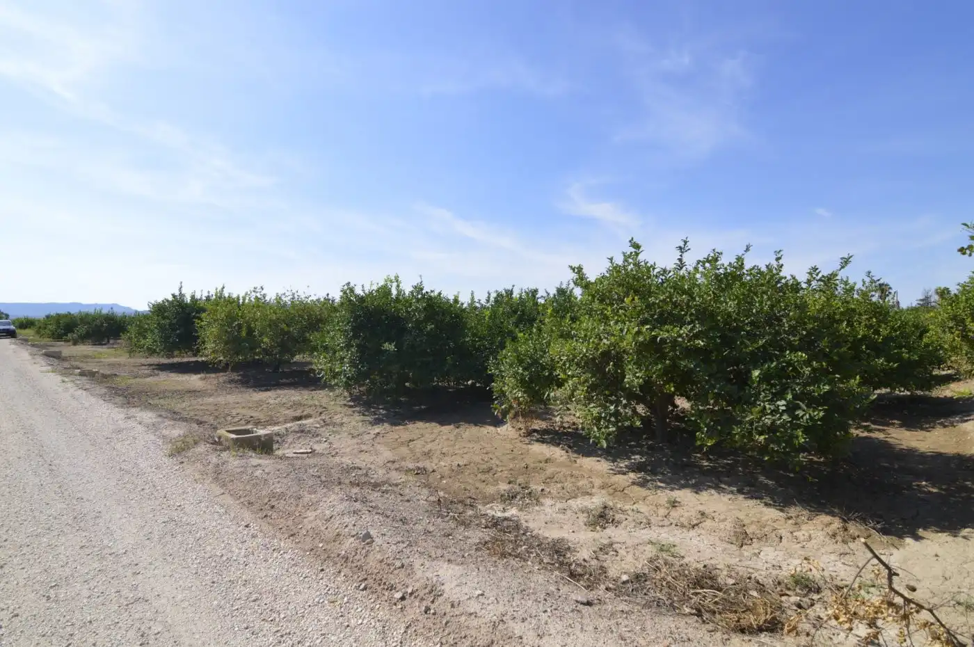 Residencial en venta en N/A, -1, Santomera
