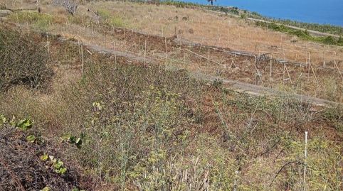 Foto 5 de Terreny en venda a Calle Barranco San Juan, 45, El Pris - Juan Fernández, Tacoronte