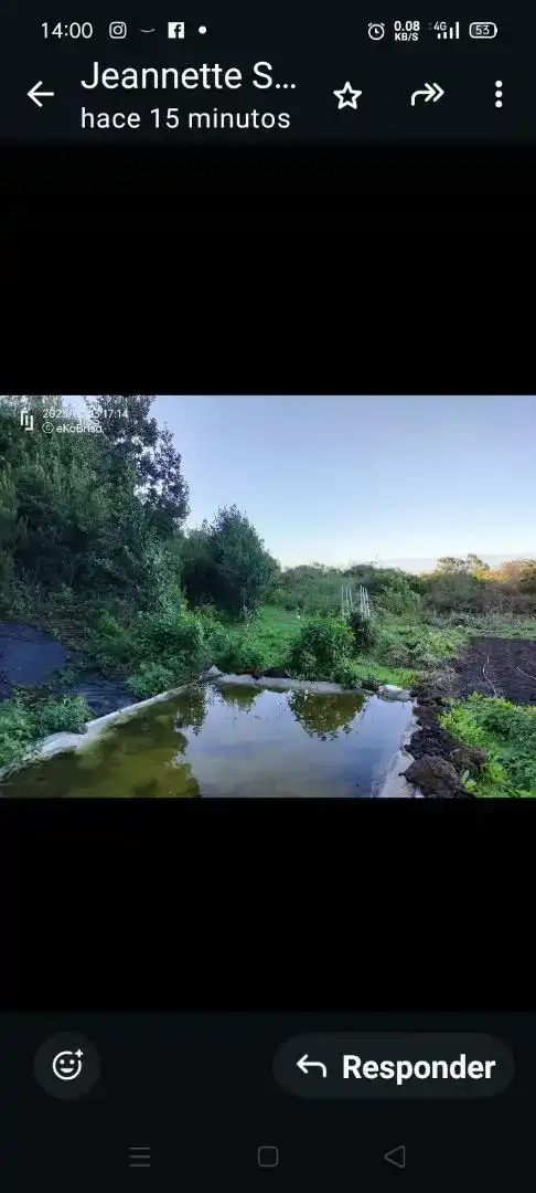 Piscina de Finca rústica en venda en El Tanque, Santa Cruz de Tenerife