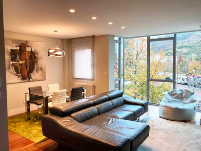 Sala d'estar de Pis de lloguer en Bilbao  amb Aire condicionat