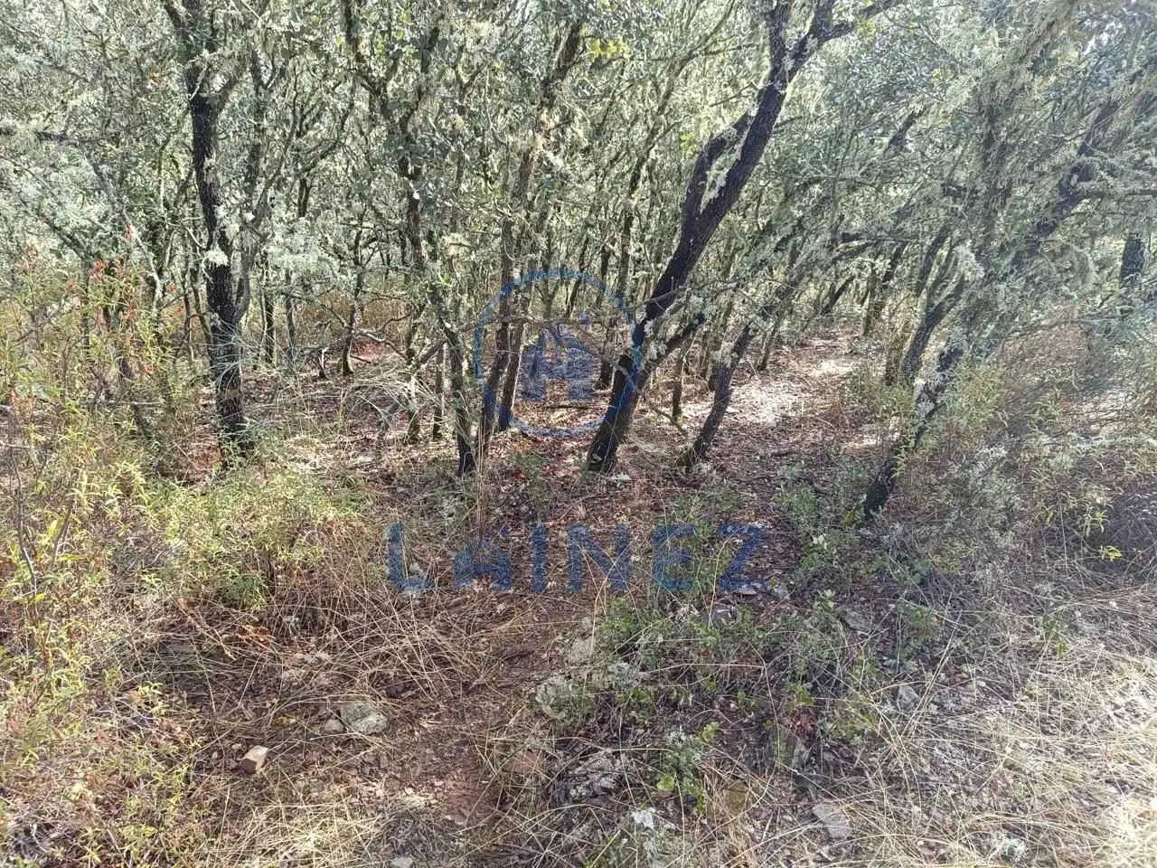 Lands and plots for sale in Espiel, imagen 11