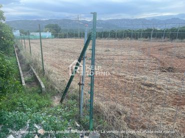Rural land for sale in Palma de Gandia