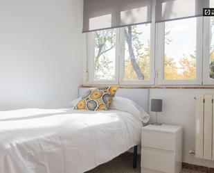 Flat to share in Almendrales