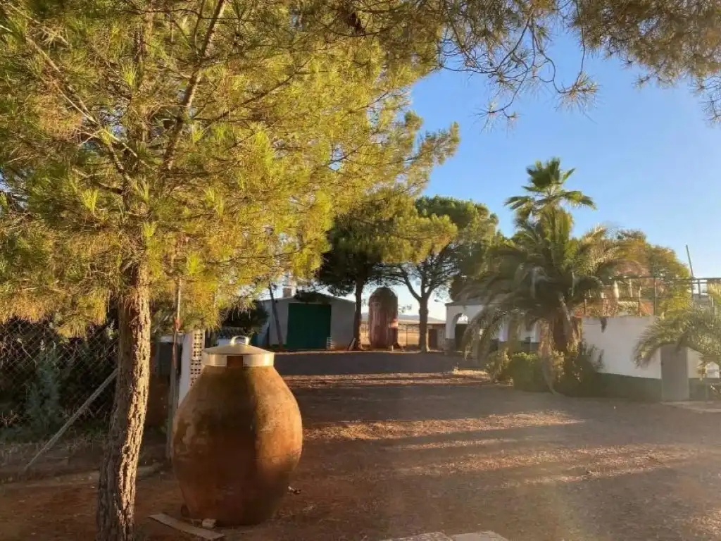 Xalet en venda a Granátula de Calatrava, imagen 17
