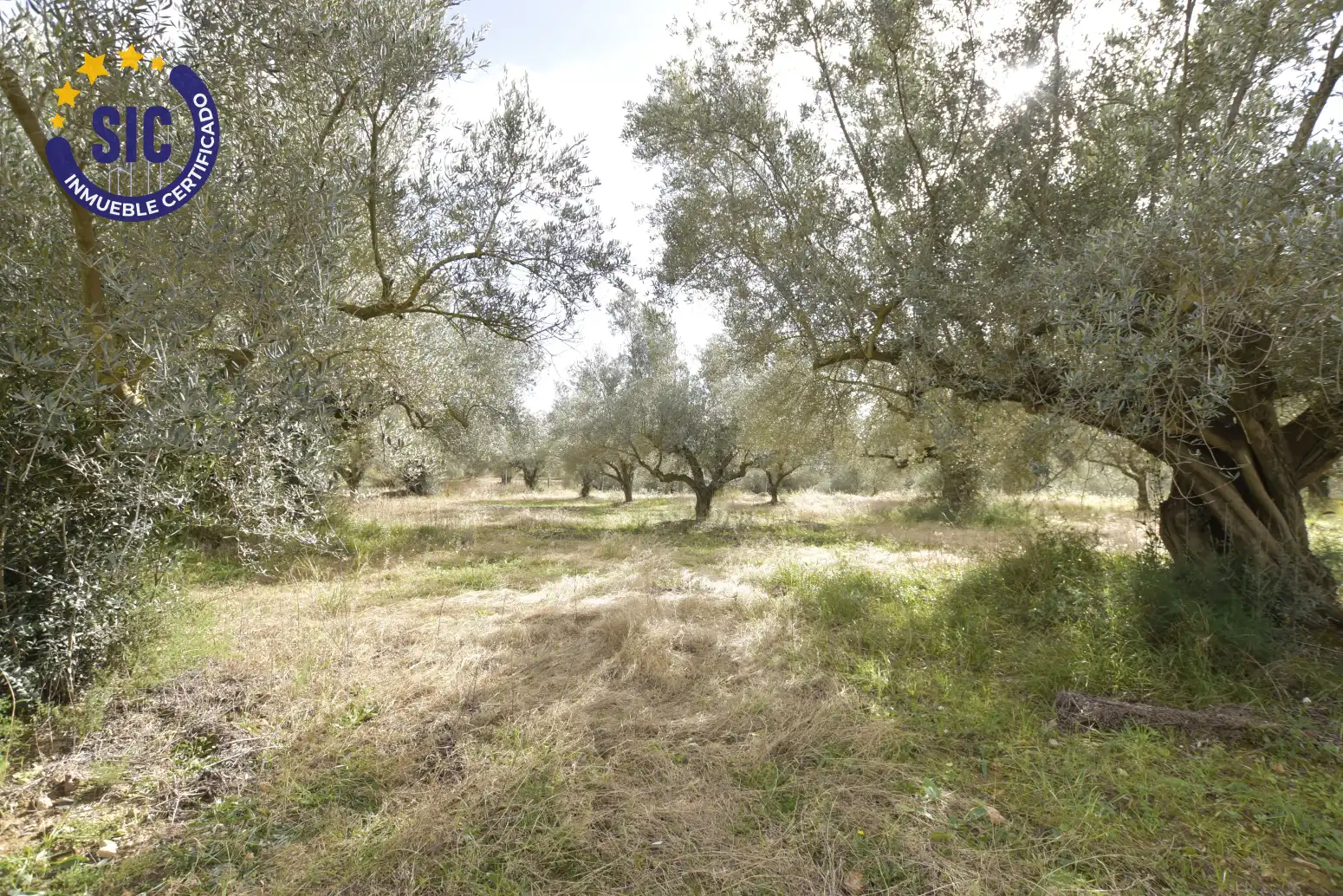 Land for sale in Jérica