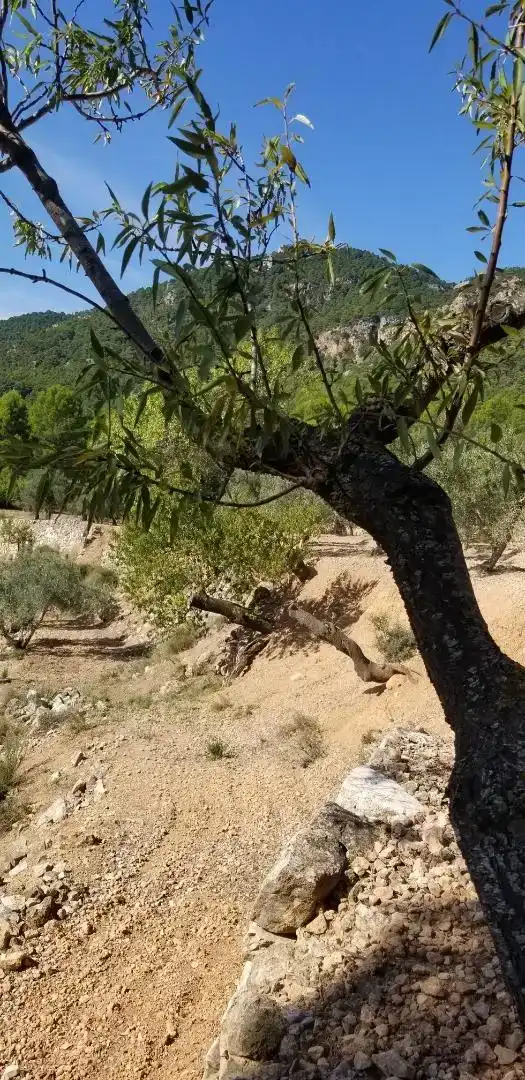 Vista exterior de Finca rústica en venda en Amposta