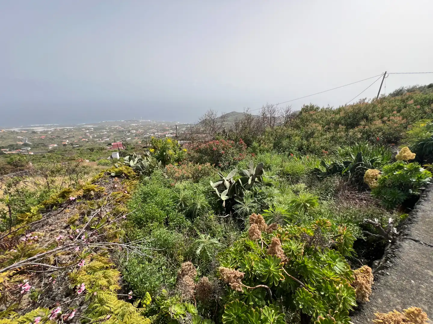 Finca rústica en venda en Villa de Mazo amb Jardí privat, Traster i Moblat