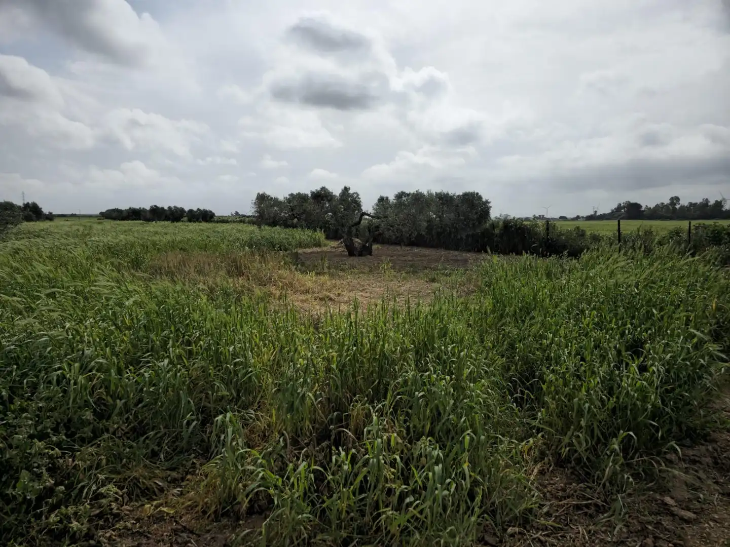 Finca rústica en venta en Puerto Real con Trastero
