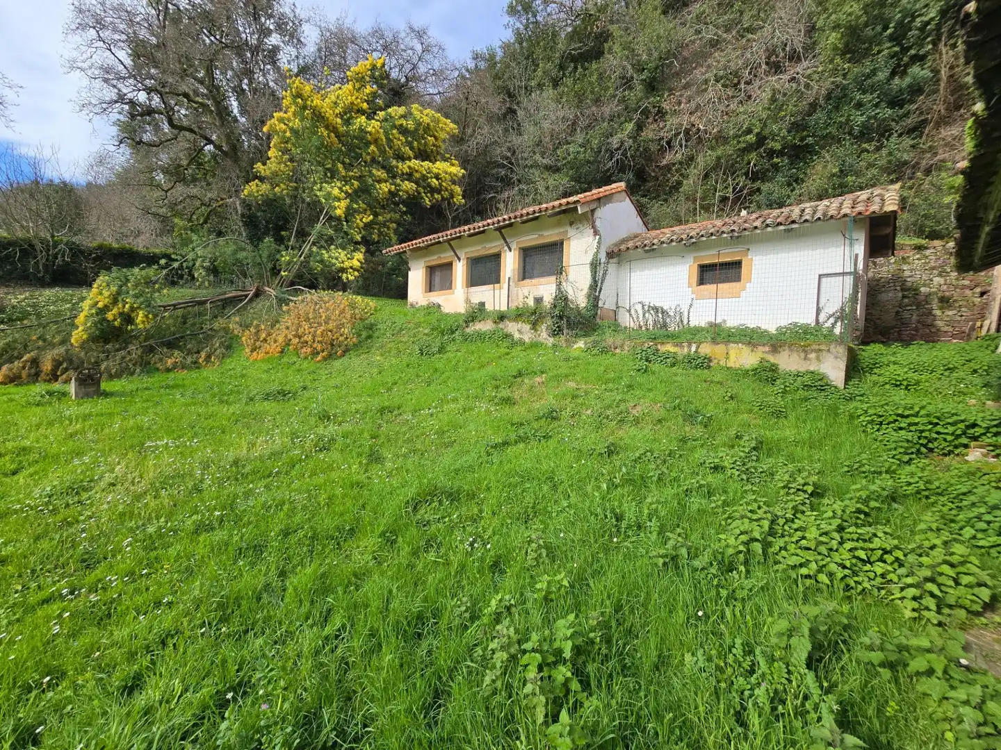 Vista exterior de Casa o chalet en venta en Villaviciosa con Calefacción y Jardín privado