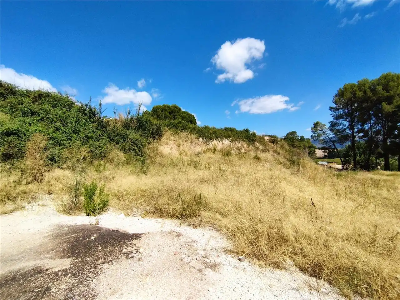 Terreny residencial en venda a Alcudia-Industr, 206, imagen 11