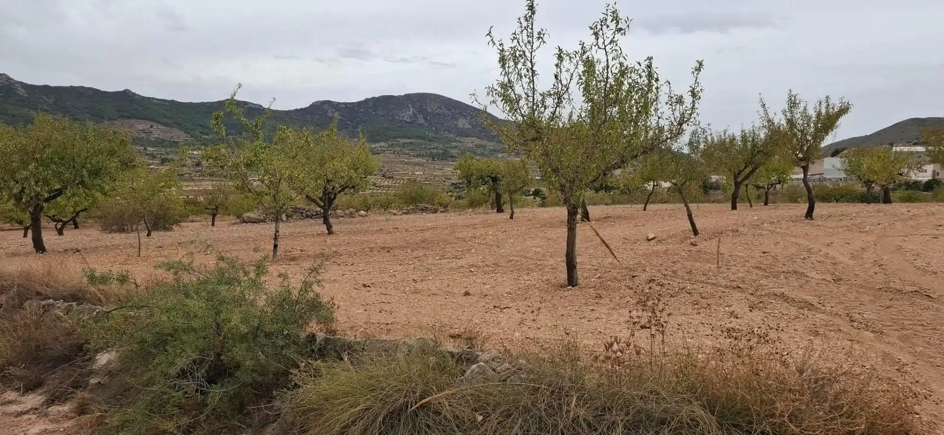 Terrain rustique à vendre à La Romana, imagen 3