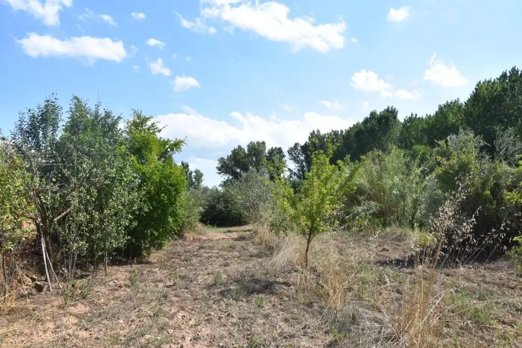 Terreni e lotti in vendita a Mazaleón, imagen 5