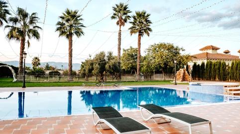 Foto 5 de Casa o xalet de lloguer a Camino de la Arroba del Palomar, 30, Catral, Alicante