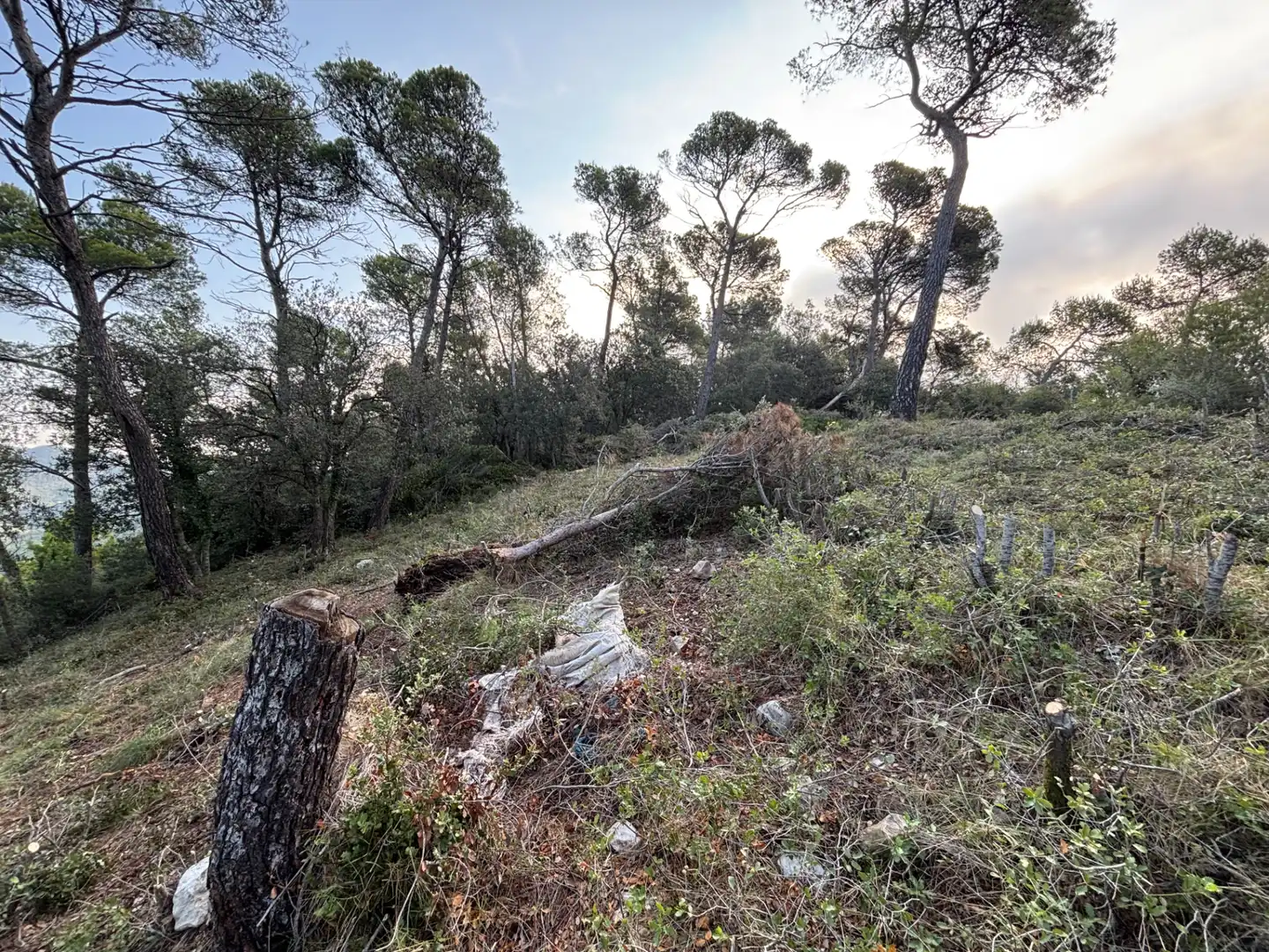 Residential land for sale in Carrer Pasarell, imagen 5