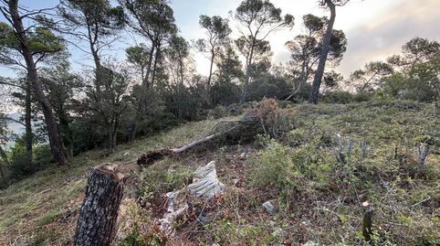 Terreno urbano en El Farell (Caldes de Montbui) – 780 m² con estudios técnicos realizados, imatge 5