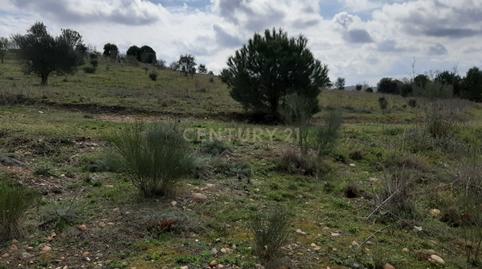 Photo 4 of Industrial land for sale in Nus-20 Golf Guadiana Manzana C-3b, S/n, Golf Guadiana, Badajoz