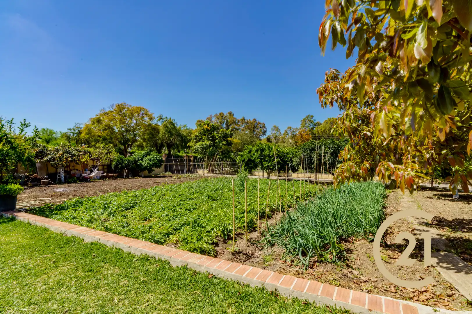 Jardín de Casa adosada en venta en Benahavís con Aire acondicionado, Jardín privado y Terraza