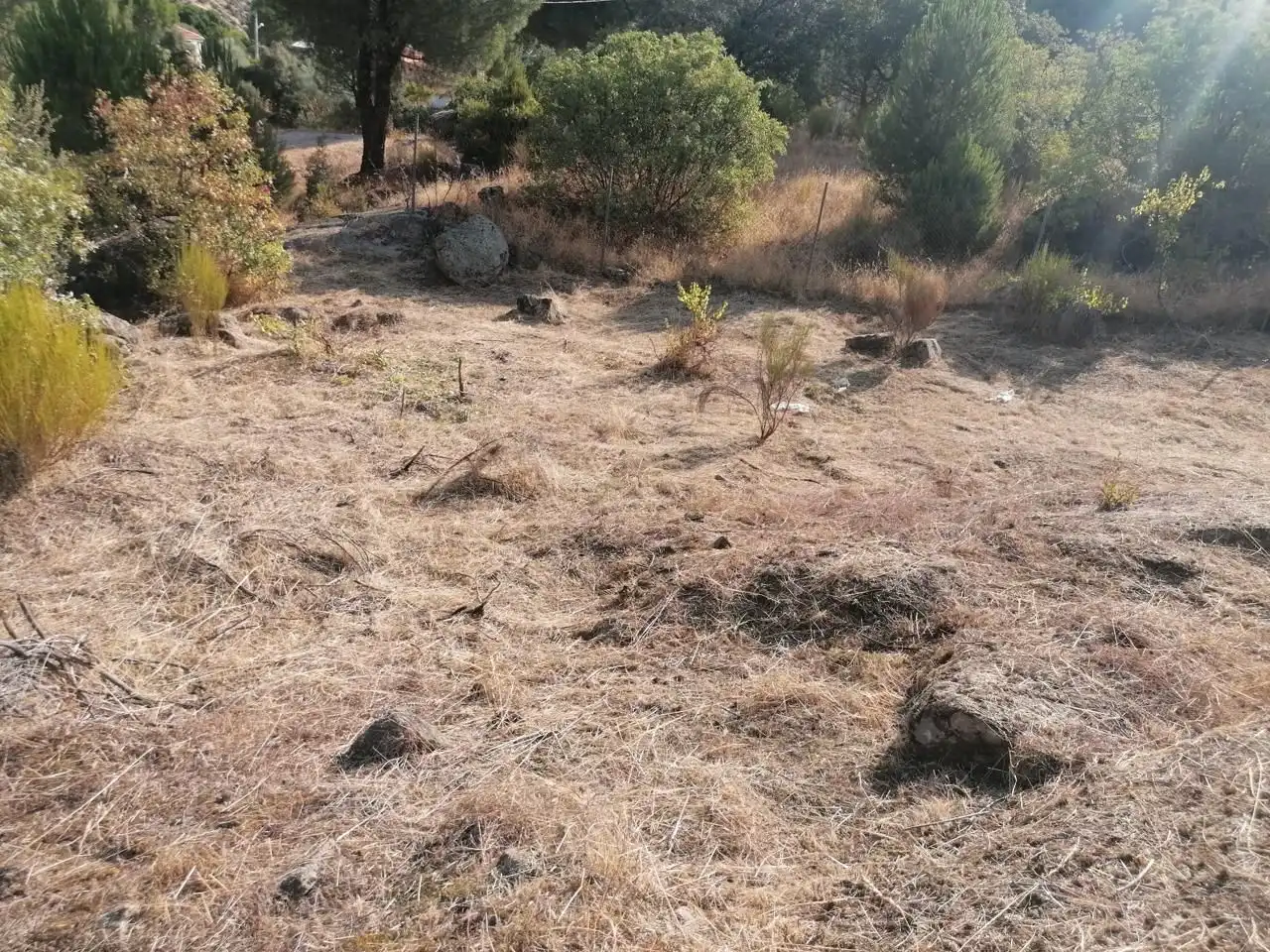 Terreni e lotti in vendita a El Tiemblo, imagen 4