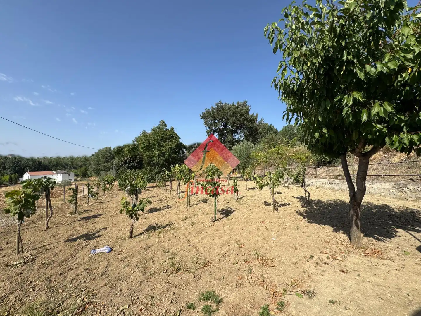 Casa o xalet en venda en Ronda amb Aire condicionat, Calefacció i Jardí privat