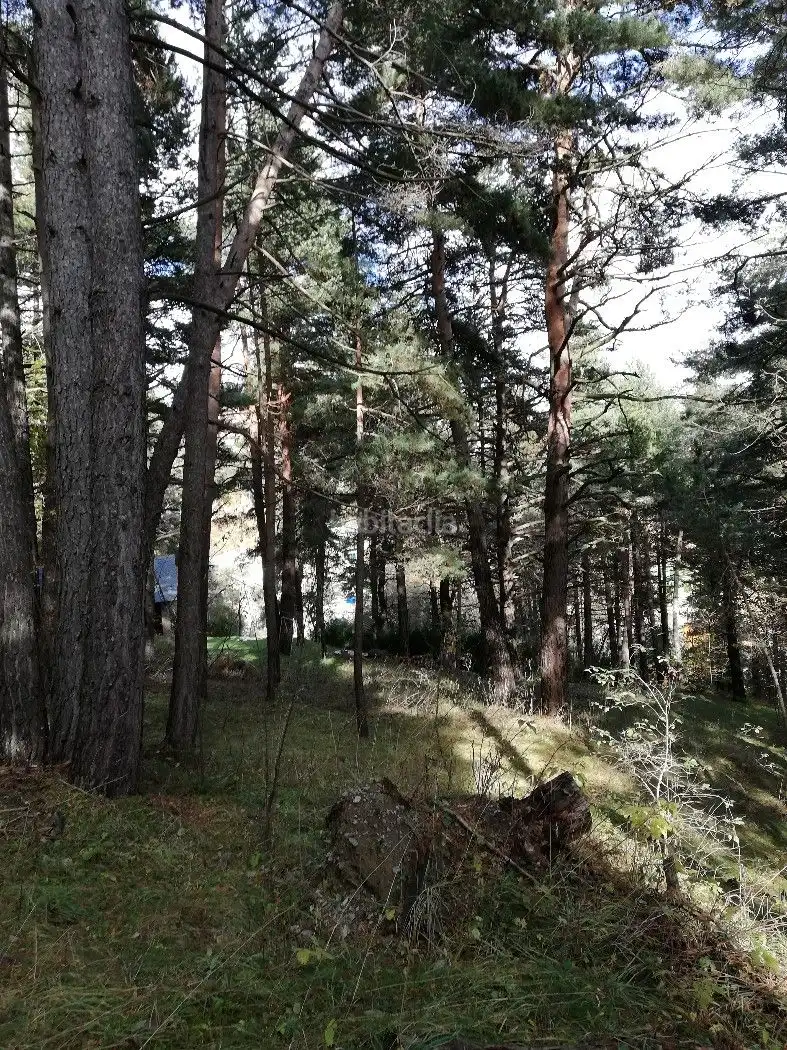 Wohnbaugrundstück zum Verkauf in Avinguda de la Molina 142, imagen 5
