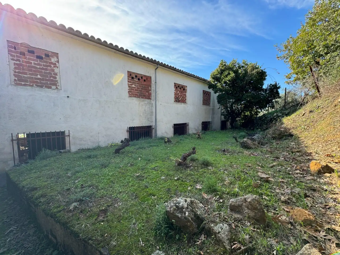 Vista exterior de Finca rústica en venta en Candeleda con Jardín privado