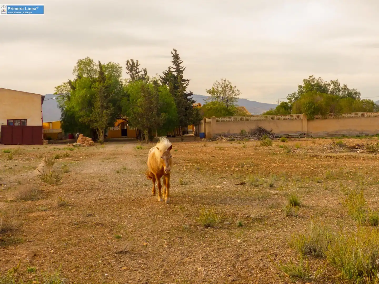 Vista exterior de Finca rústica en venda en Fuente Álamo de Murcia amb Calefacció, Jardí privat i Terrassa