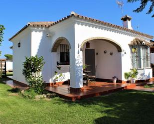 Jardí de Casa o xalet de lloguer en Chiclana de la Frontera amb Jardí privat, Terrassa i Piscina