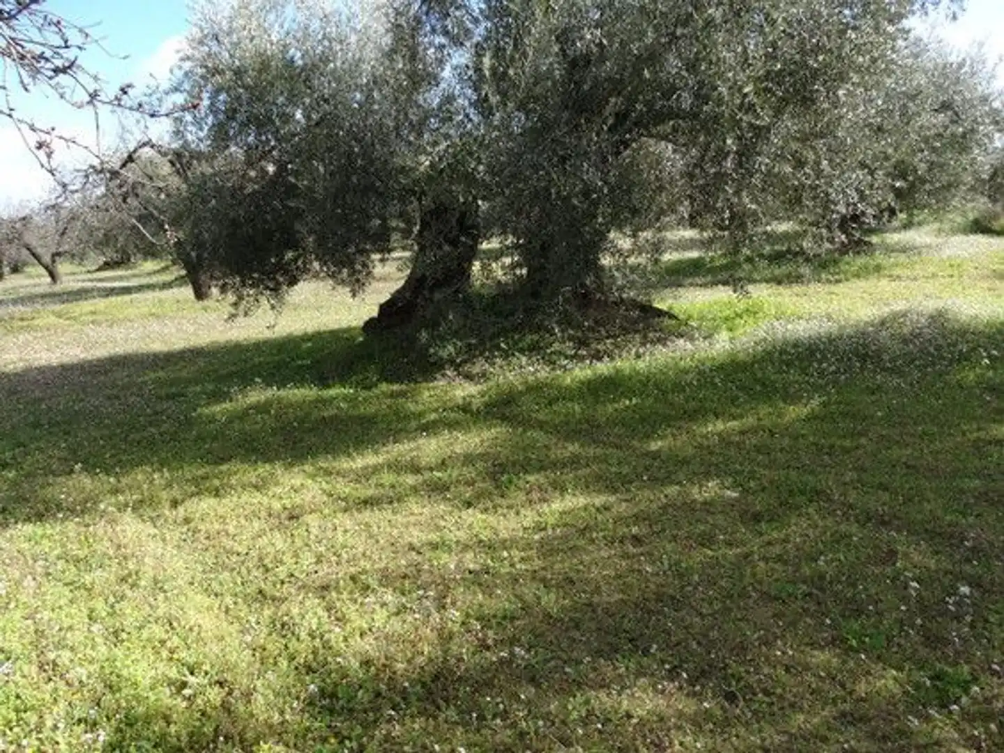 Terreni e lotti in vendita a Moratalla, imagen 17