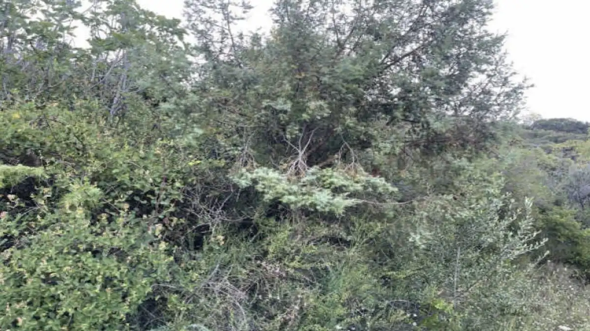 Residencial en venda en Agüero