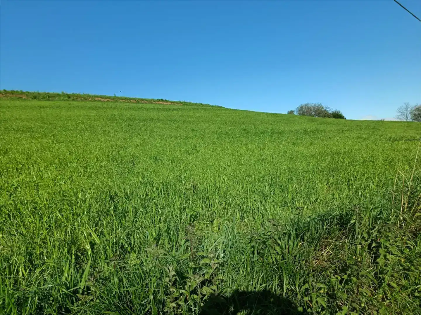 Residencial en venda en Comillas (Cantabria), Cantabria