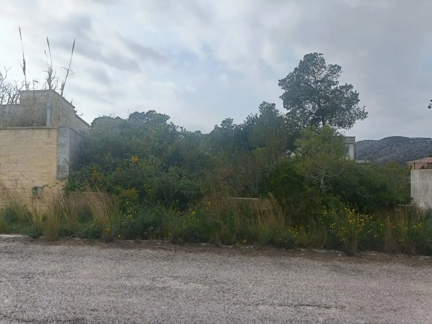 Terreny residencial en venda a Mas Borràs - Coto del Rey, imagen 4