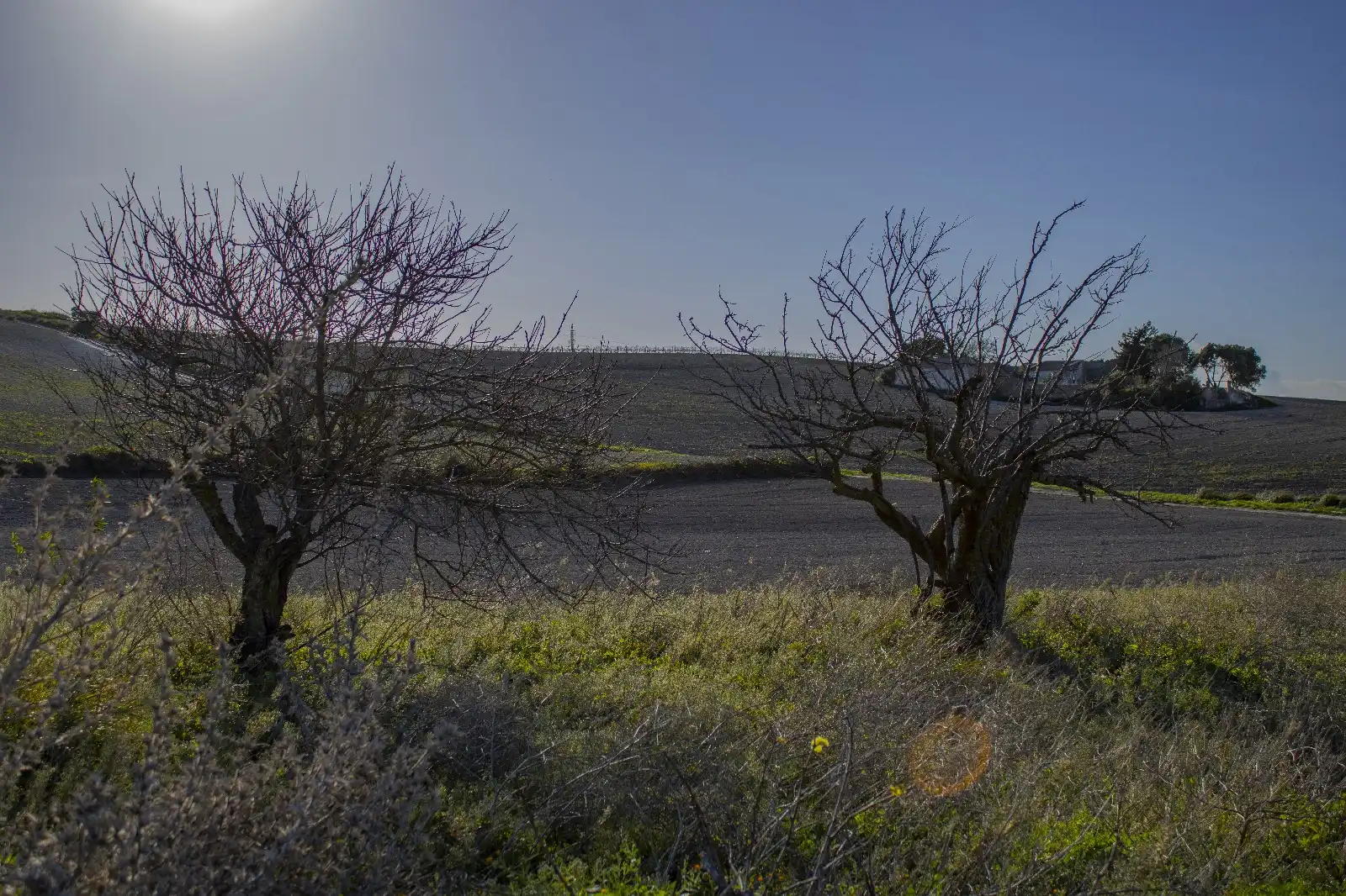 Rural land for sale in Los Franceses – La Vega, imagen 11