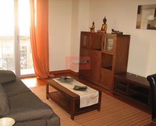 Living room of Apartment to rent in Ourense Capital   with Heating, Parquet flooring and Furnished