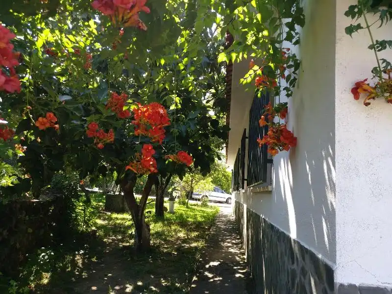 Villa zum Verkauf in Centro Ciudad, imagen 12