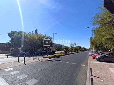 Gewerbefläche zur Miete in Juncal