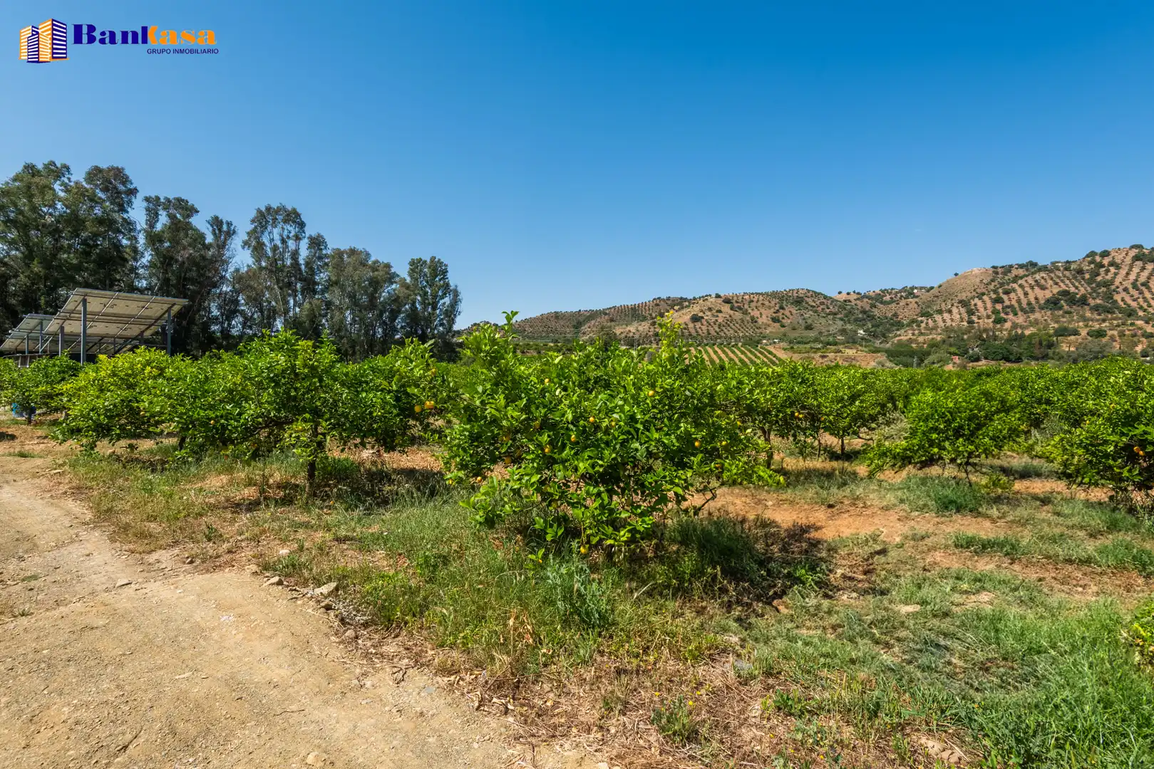 Terreno en venta en Pizarra