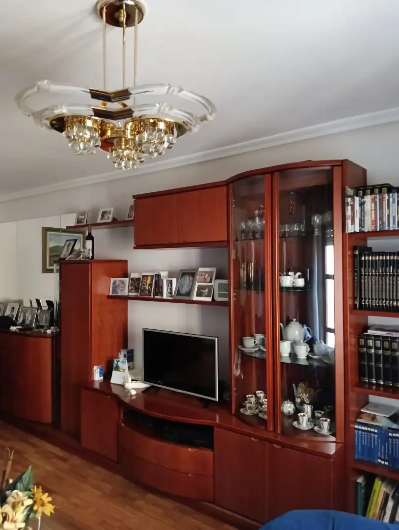 Sala de estar de Piso en venta en Alegría-Dulantzi con Calefacción y Balcón