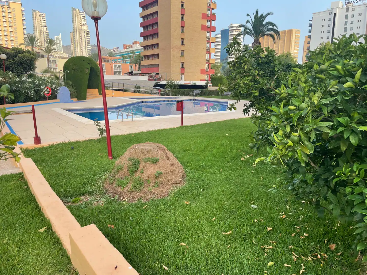 Appartement avec terrasse à vendre à Levante Alto, imagen 51