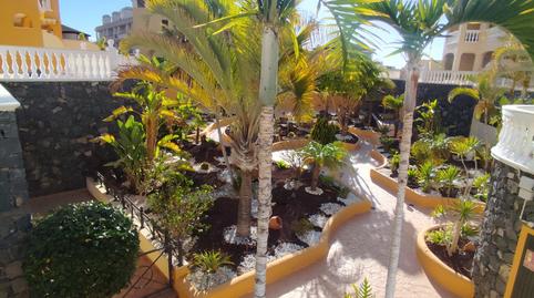 Foto 5 de Ático de alquiler en Calle la Marea, 3, Los Cristianos, Santa Cruz de Tenerife