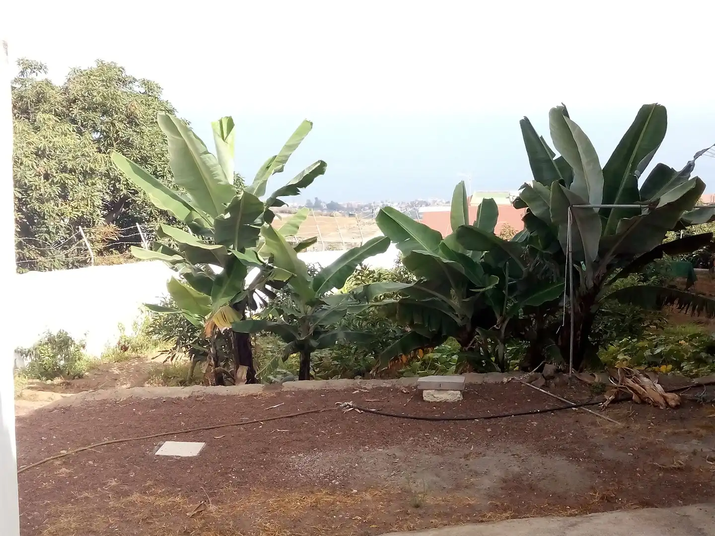 Houses for sale in Los Realejos  with Private garden, Terrace and Storage room