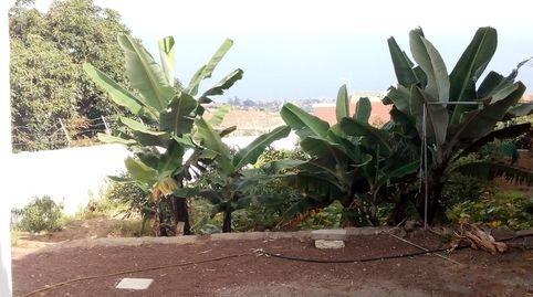 Foto 5 de Casa o chalet en venta en Calle Mencey Añaterve, 32, Cruz Santa, Los Realejos