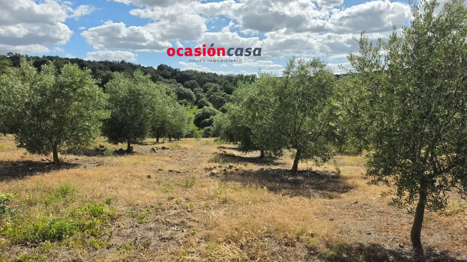 Residential land for sale in Fuente Obejuna, imagen 6