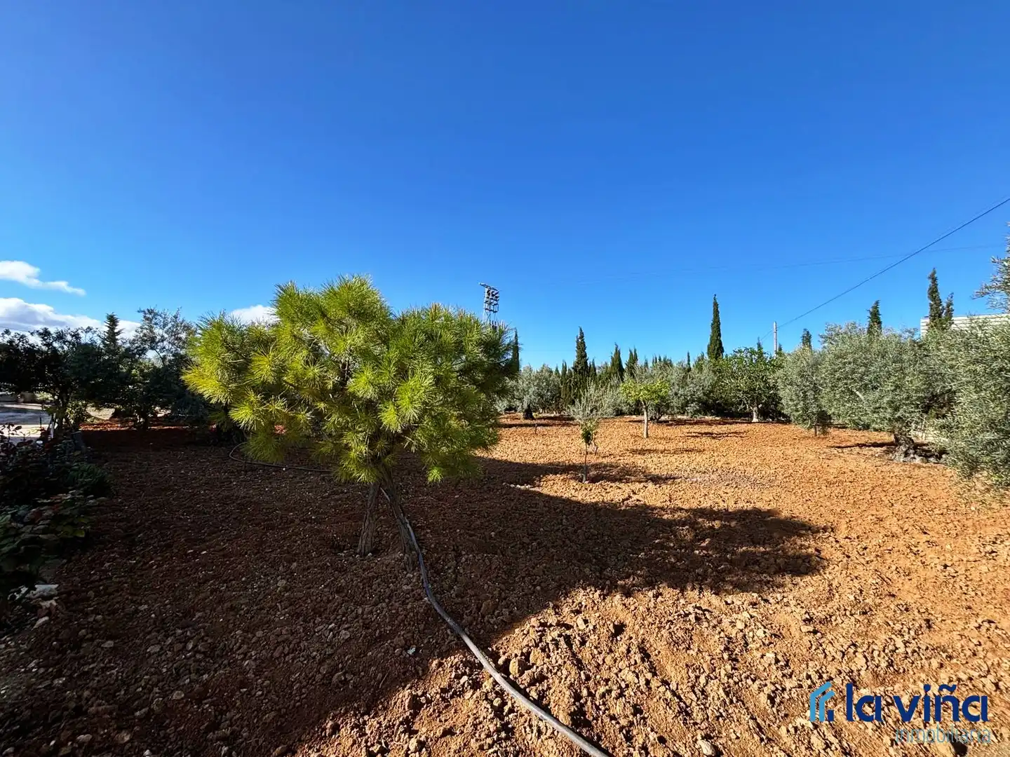 Casa o chalet en venta en Casariche con Aire acondicionado, Calefacción y Jardín privado