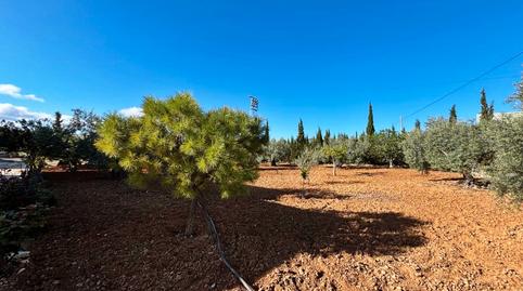 Foto 3 de Casa o xalet en venda a Casariche, Sevilla