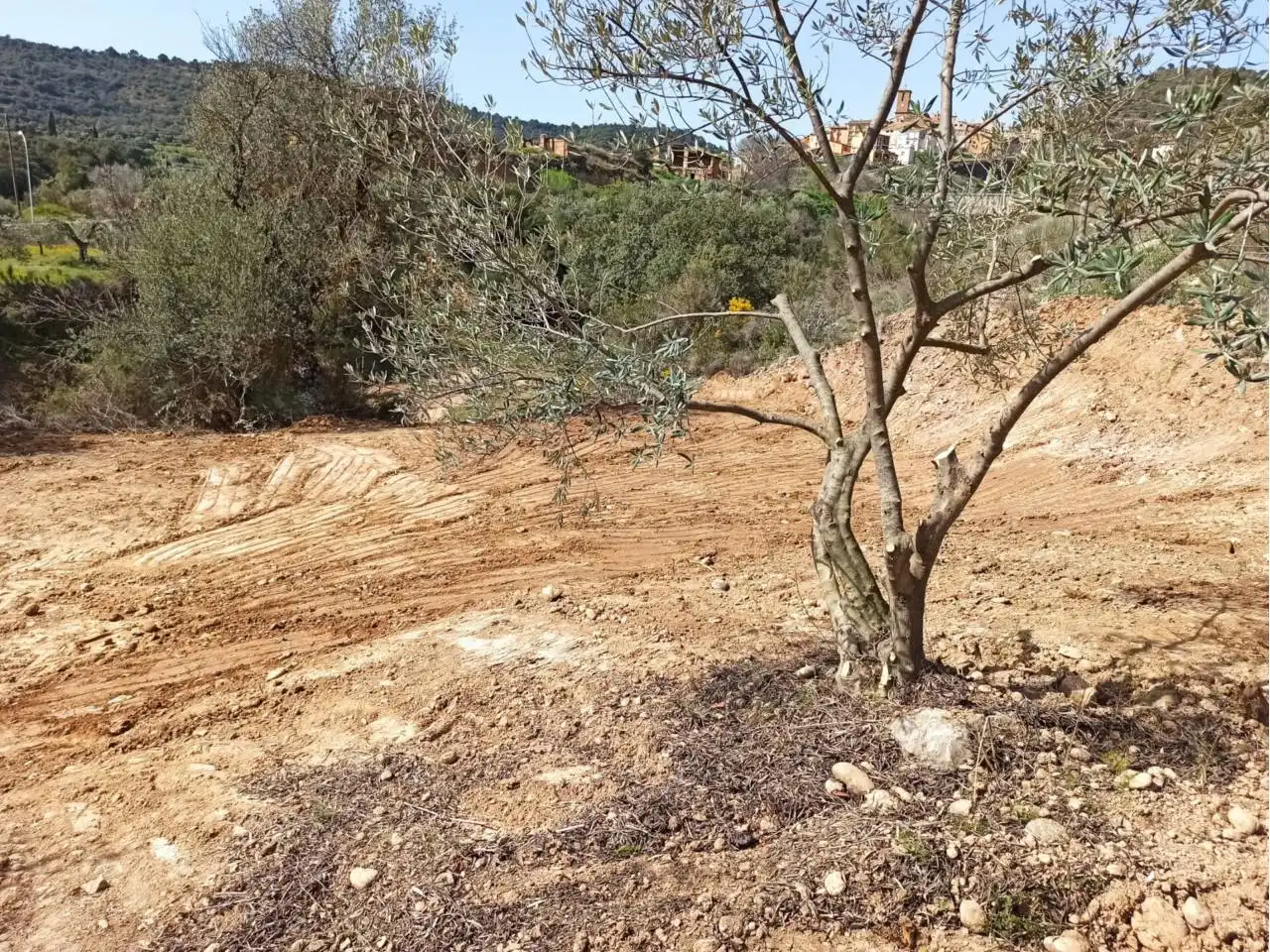 Terreni e lotti in vendita a Poligono COSTERA