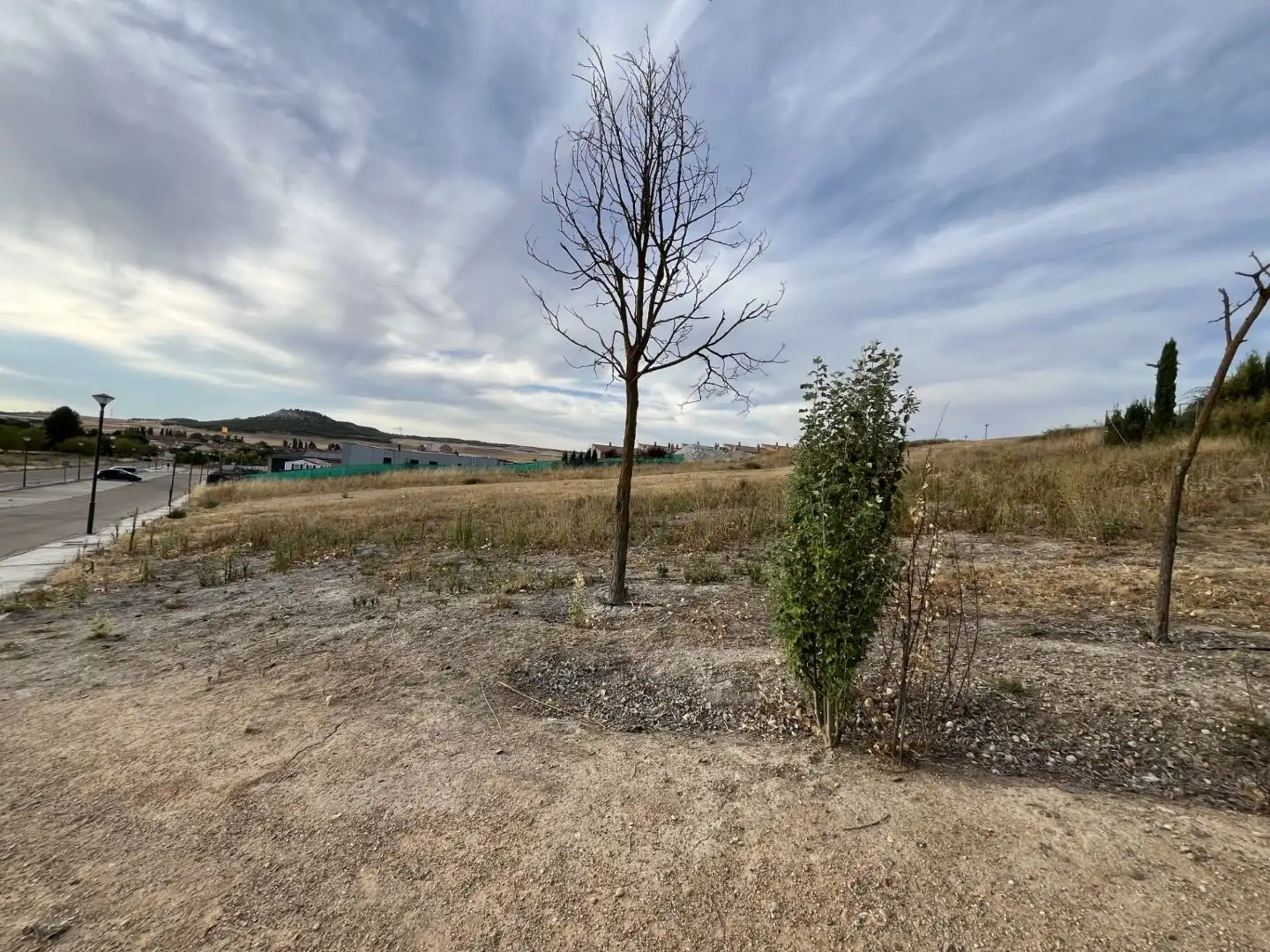 Residencial en venta en Avenida de Castilla Y León, 15, Renedo de Esgueva
