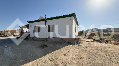 Foto 3 de Finca rústica en venda a Espera, Cádiz