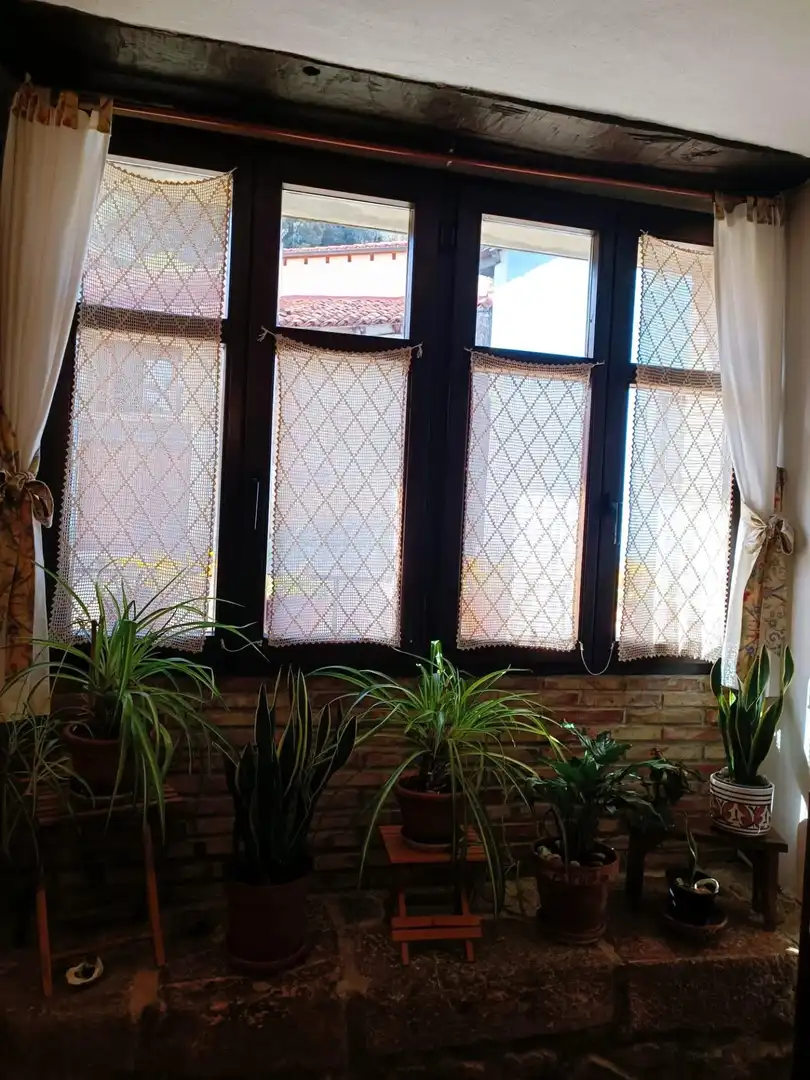 Garden of Country homes for sale in Peñamellera Baja  with Heating, Private garden and Terrace