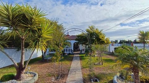 Photo 4 of Houses for sale in Pelagatos - Pago del Humo, Chiclana de la Frontera