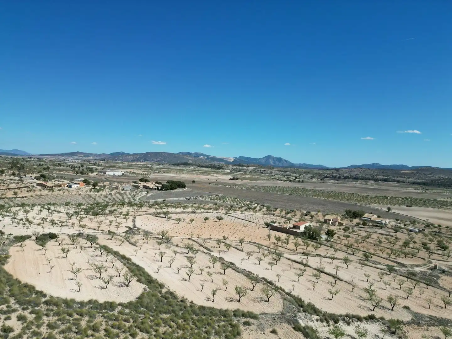 Terreny residencial en venda a Jumilla, imagen 7